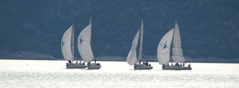 416131_249134588513613_101739016_o