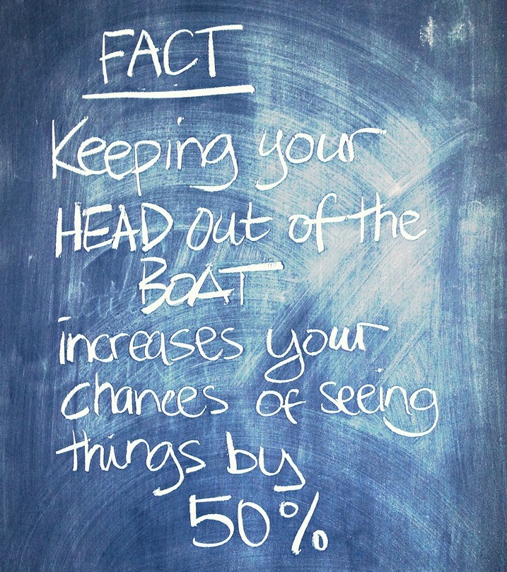 993493_597178920330549_648456566_n