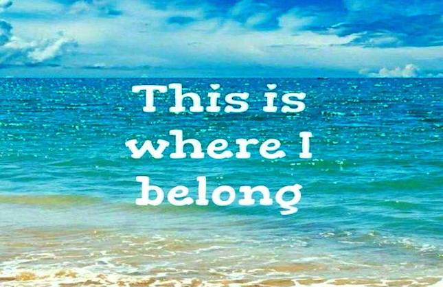 11227031_10152777001150966_5629566542091299860_n