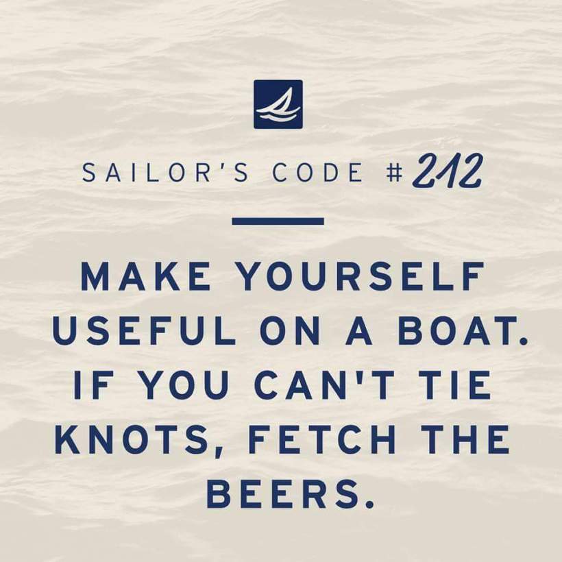 13178005_1174857352553195_8316278637613697251_n